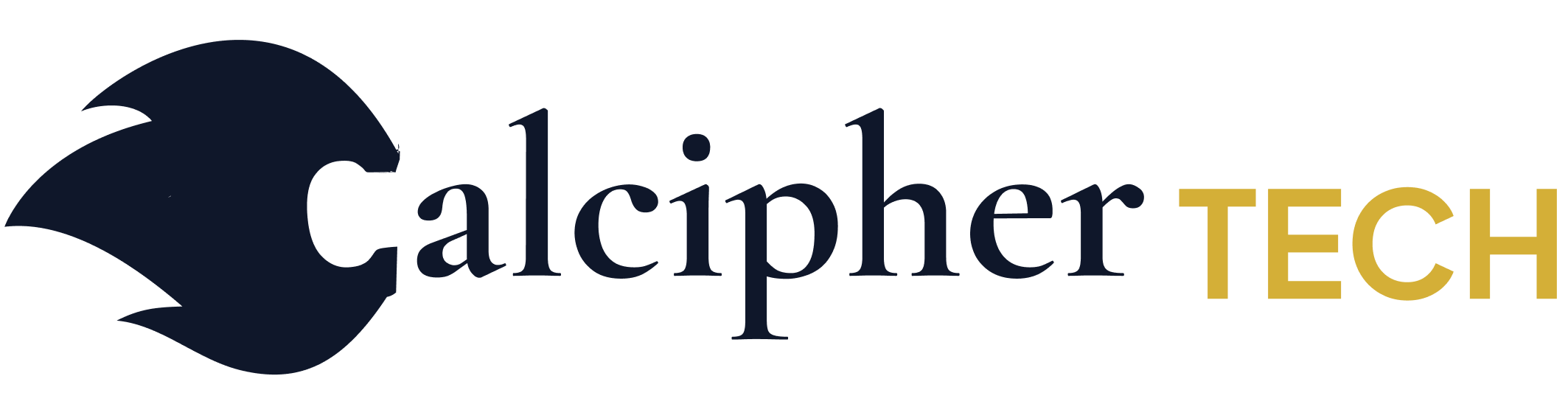 Calcipher Tech